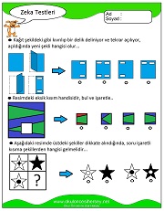 Zeka Gelişim Testleri